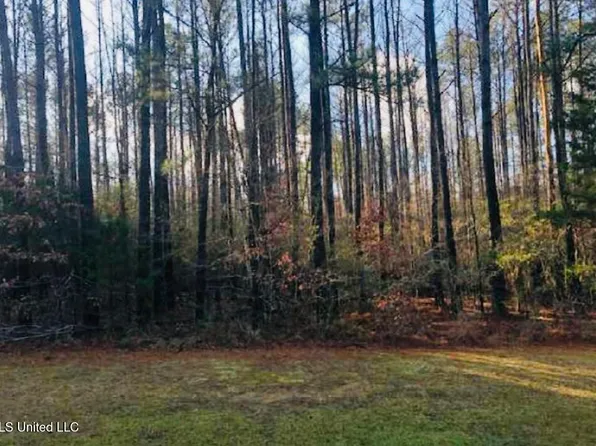 153 Deerwood Xing Lot 67B, Canton, MS 39046