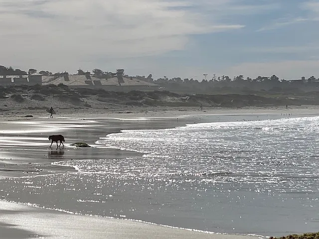 Crocker - Ocean Trails — Photo 8