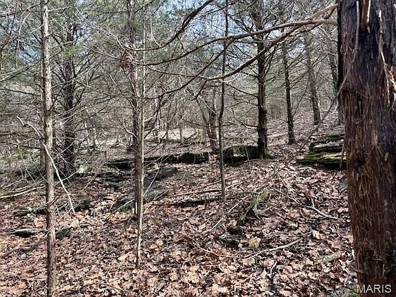 4th image of 0 Highway M #D