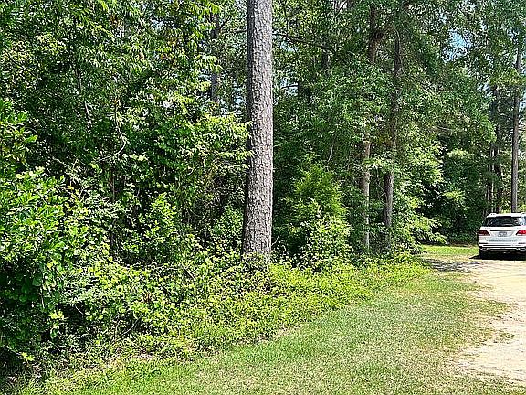 driveway option or one lane 