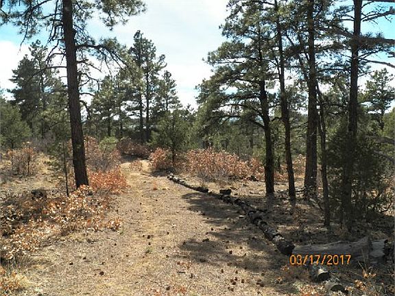 5th image of 17890 County Road 51