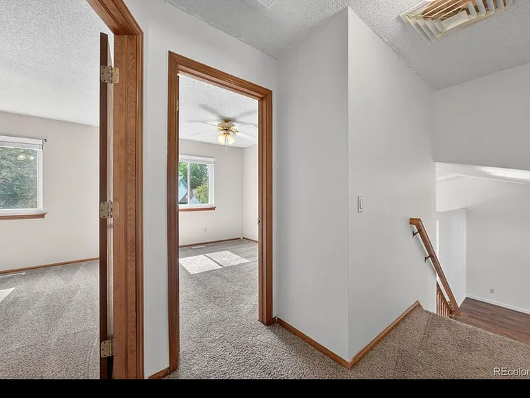 250 Cypress Ln — Photo 15