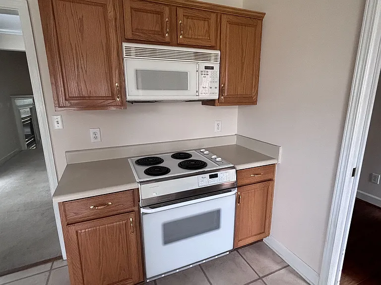 256 Crest Lake Dr — Photo 3