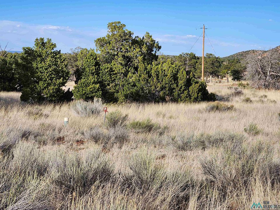 1st image of 41 Blue Hills Trl