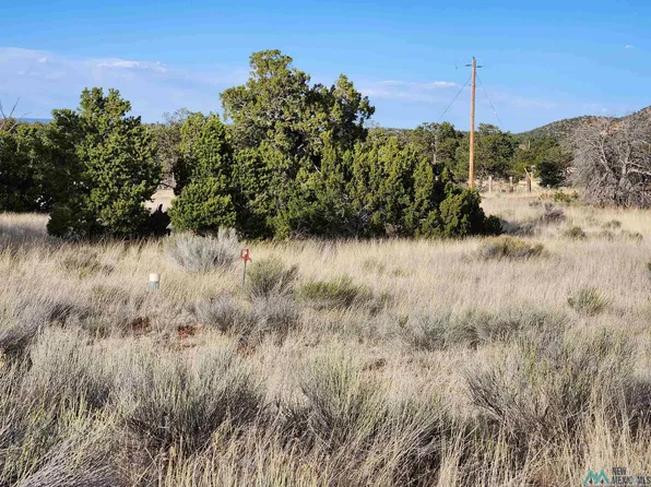 41 Blue Hills Trl, Pie Town, NM 87827