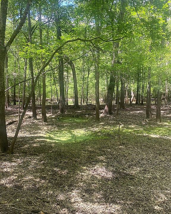 1st image of SW Iowa Dr Lot 24