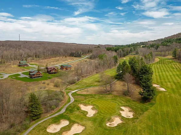 Fantasy Ln #17, Mc Henry, MD 21541