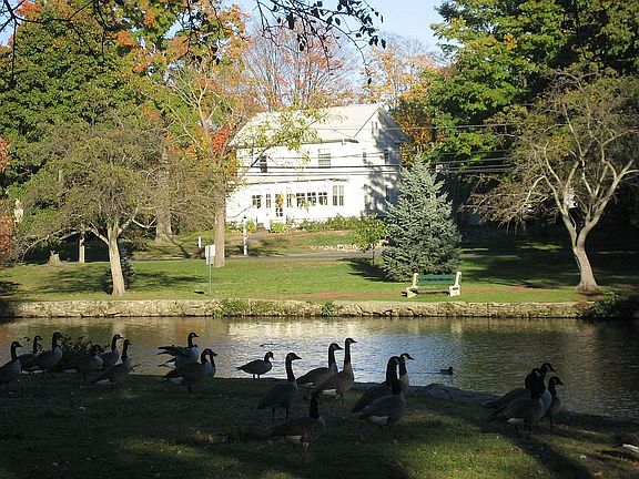 Front view from the Pond