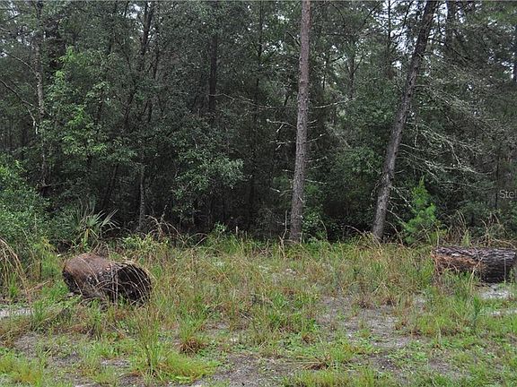 3rd image of Pine Valley Dr