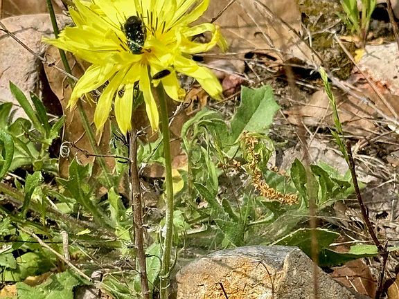 4th image of Hudson Rd