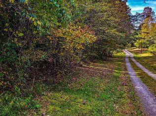 1 Traphill Rd, Traphill, NC 28685