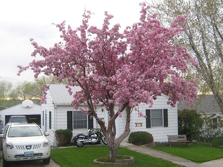 1st image of 1028 Lincoln Ave