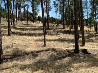 316 White Mountain Meadows Dr #1003062, Ruidoso, NM 88345