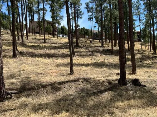 316 White Mountain Meadows Dr #1003062, Ruidoso, NM 88345