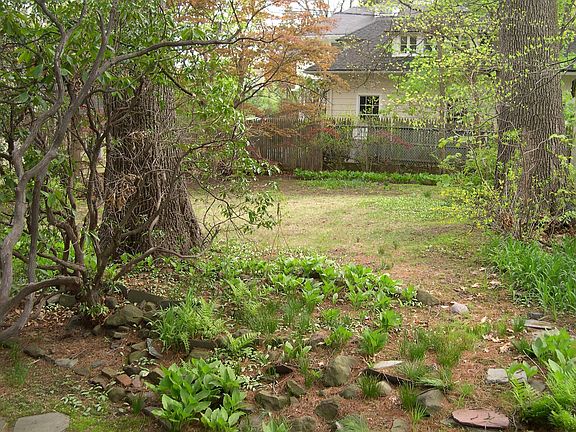 Lovely Yard