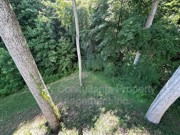 4540 Pebble Lake Dr — Photo 74