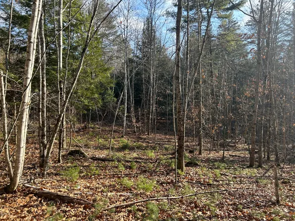 Lot #4 Thorndike Road (Rt. 220), Unity, ME 04988