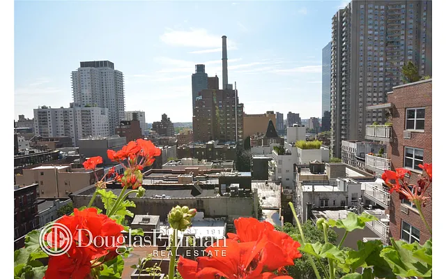 Sold by Douglas Elliman | media 25