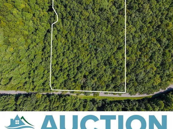 LOT 3 Phadettia Rd SW, Willis, VA 24380