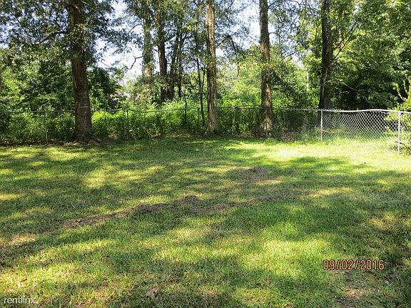 6 - Backyard (1024x768)