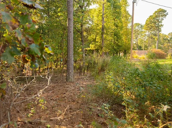 29 Wychwood Ln, Bella Vista, AR 72714