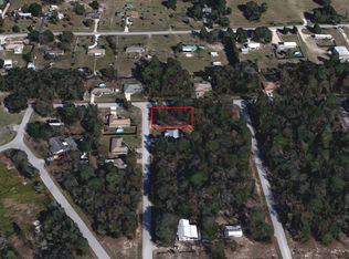 SE 156th Street And Southeast Ave #96, Summerfield, FL 34491