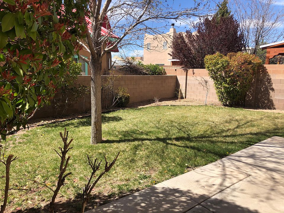 Backyard_2_04172023