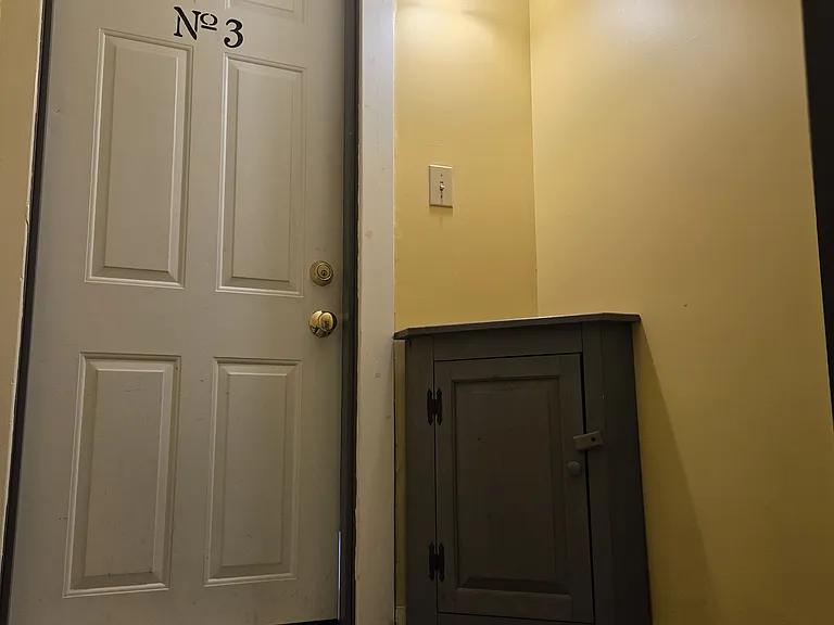207 Dartmouth St #3 — Photo 11