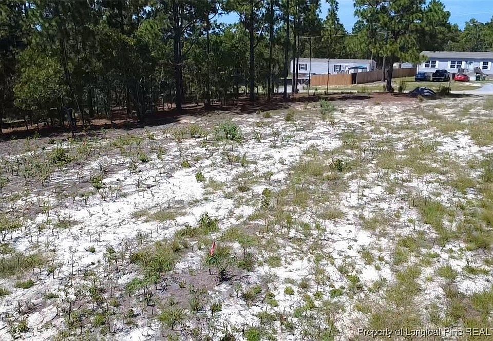 2nd image of 341 Pine Oak
