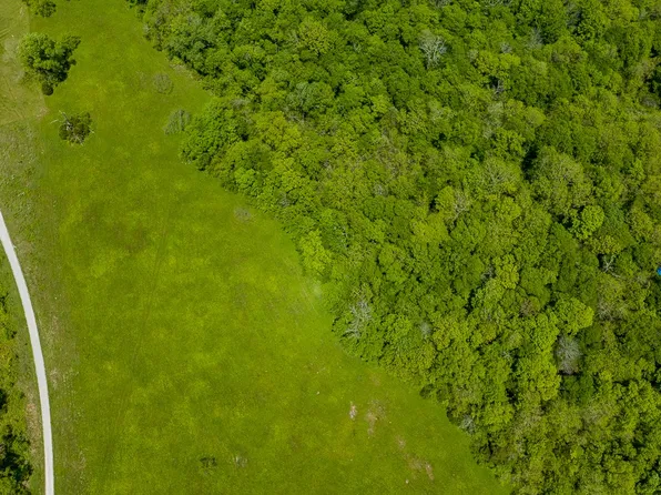 0 Old Apple Hill Rd, Lynnville, TN 38472