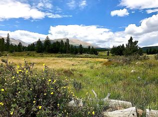 869 Looney Ln, Alma, CO 80420
