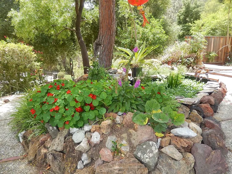 15330 Norton Rd — Photo 31