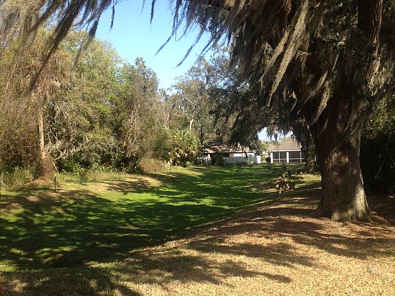 Backyard  view