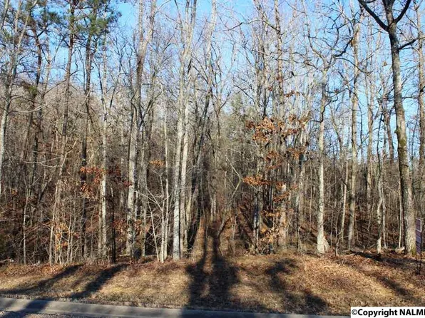 Na Raintree Dr, Centre, AL 35960