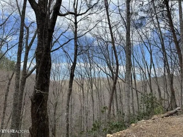 0 John Sevier Dr Lot 10, Sevierville, TN 37876