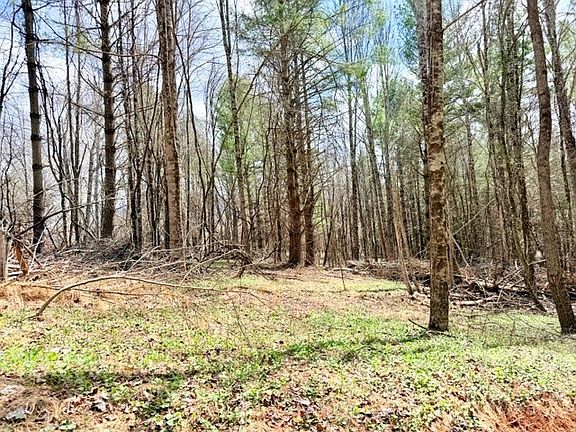 3rd image of TBD (1.014 acre) Crestview Drive West