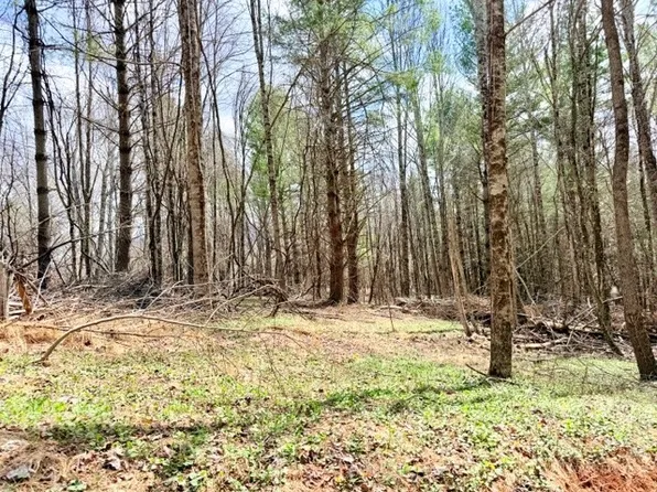 TBD (1.014 acre) Crestview Drive West, Creston, NC 28615