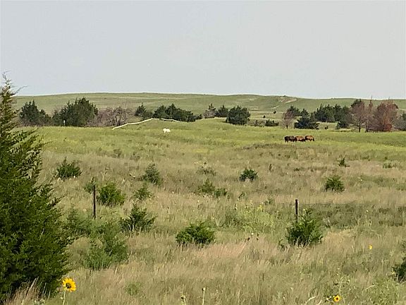 5th image of 7759 Mill Park Dr
