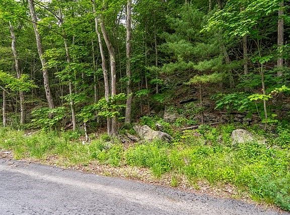 3rd image of 0 E Otis Rd