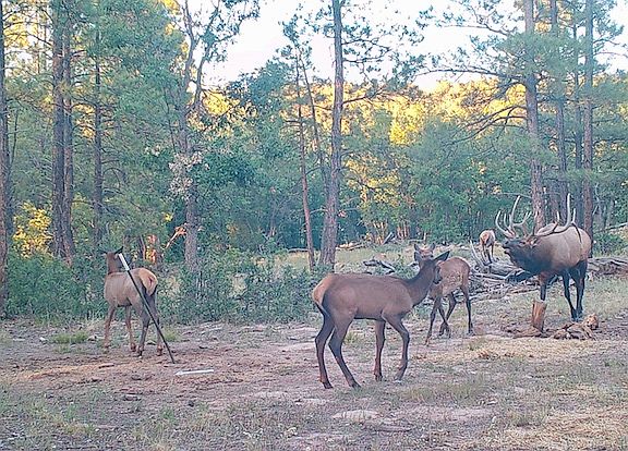 2nd image of Elk Haven Rd