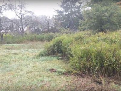 940 Pa, Pocono Lake, PA, 18347