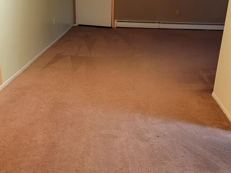 55 Gill Ln #50 — Photo 5