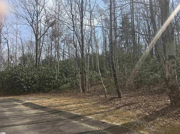 68 Conifer Falls Rd, Cleveland, SC 29635