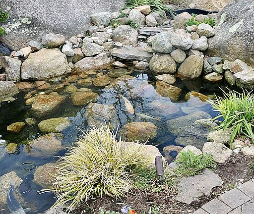 Patio Pond