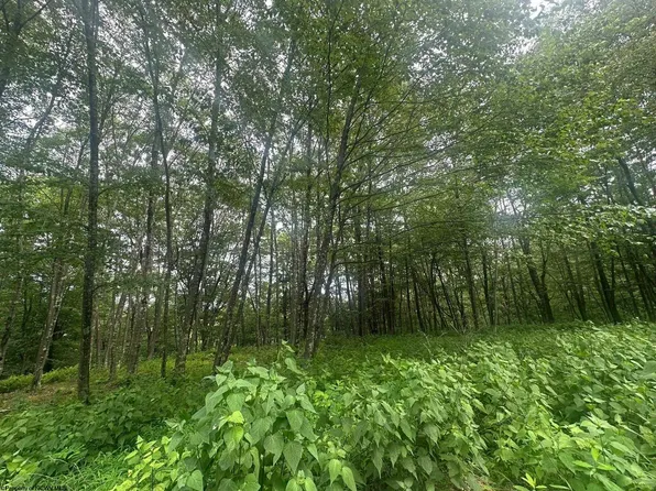 153 Windflower Dr, Terra Alta, WV 26764