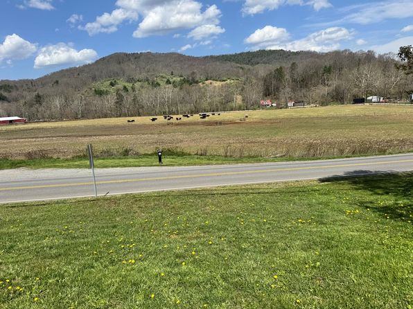 3445 Troutdale Hwy, Mouth Of Wilson, VA 24363