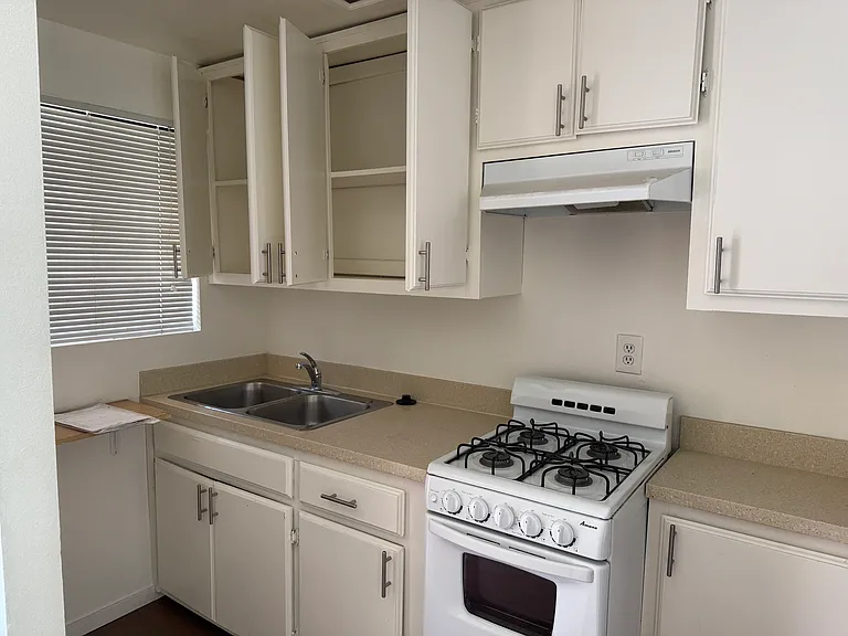 1017 E Maple St #202 — Photo 9