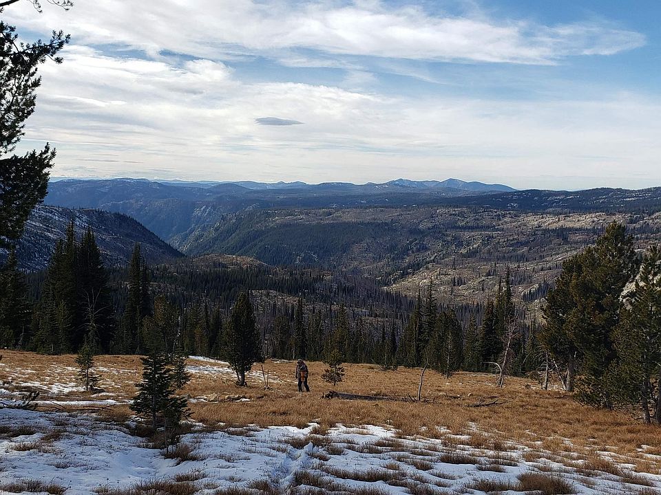 Buffalo Hump Rd, Elk City, ID 83525 MLS 98856675 Zillow