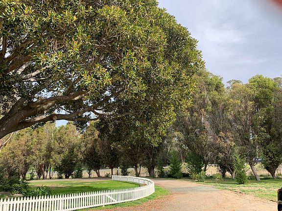Looking back toward the gate to Hwy One. This is the entrance to the Farm