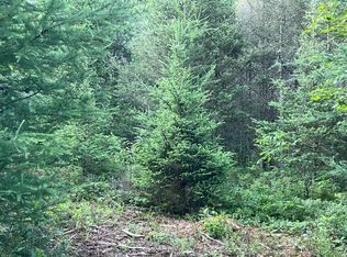 LOT 5 River Hill Rd, Conover, WI 54519